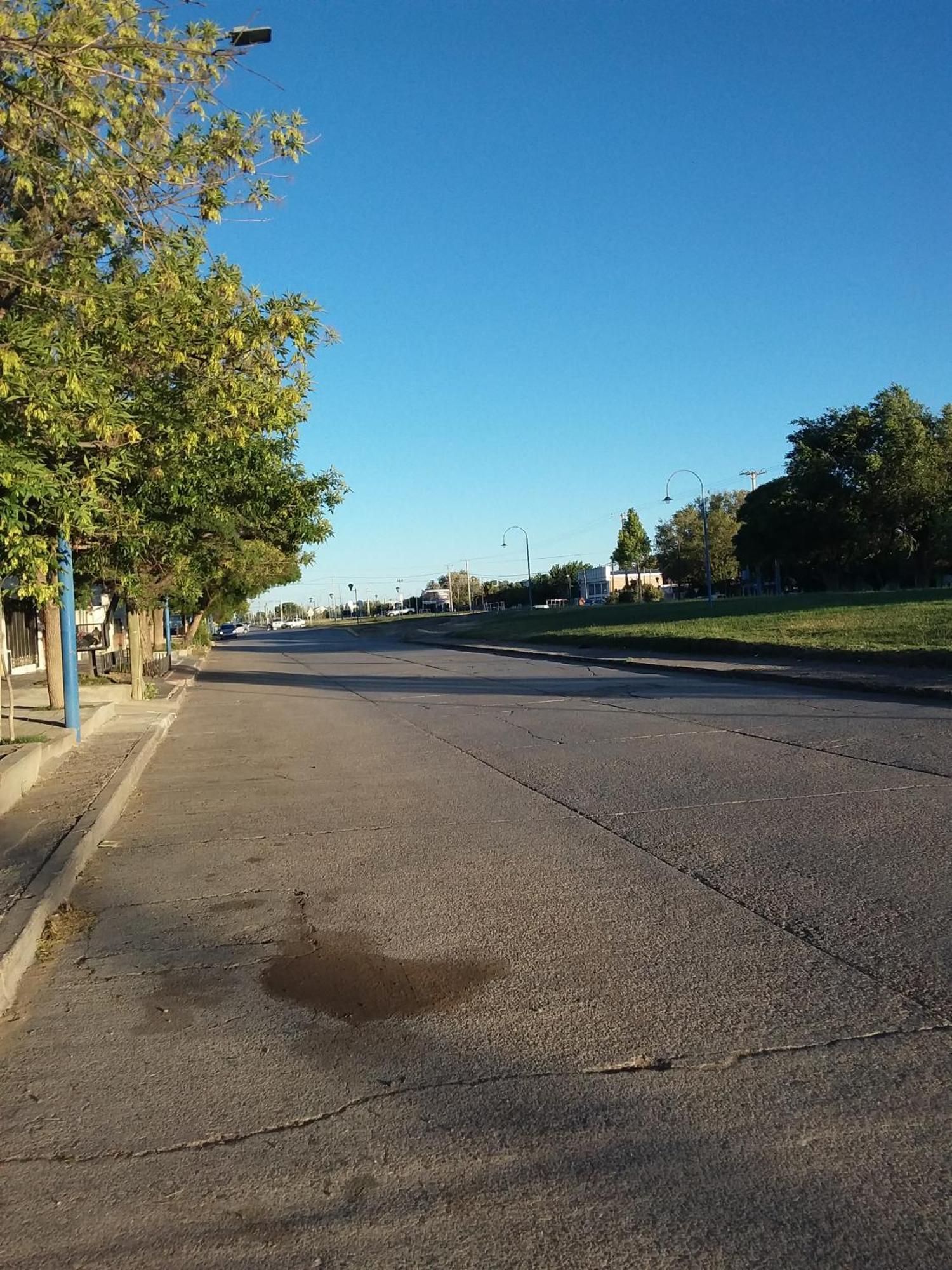 Lupita Centro 1 *